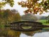 Autumn at the bridge